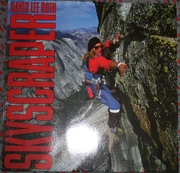 David Lee Roth  -  Skyscraper on vinyl